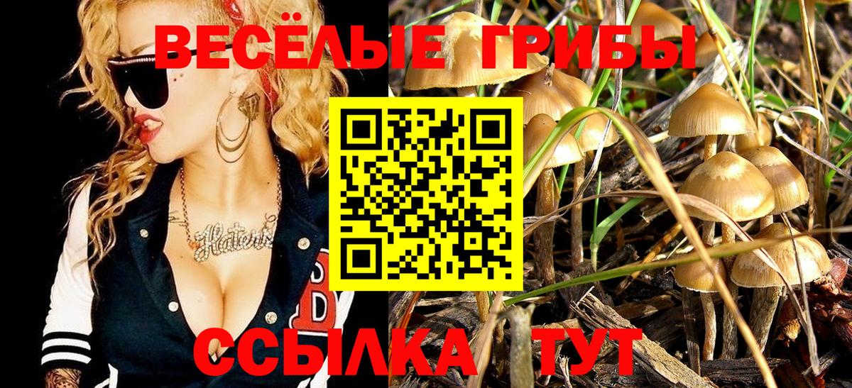 Псилоцибиновые грибы Magic Shrooms Гудермес