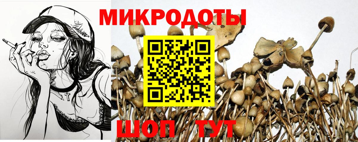 дарнет шоп  Вход с VPN  Гудермес  Псилоцибиновые грибы Cubensis 